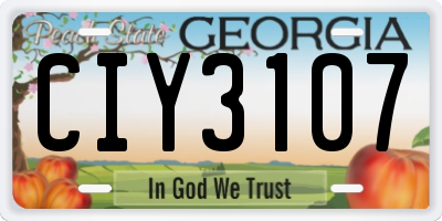 GA license plate CIY3107