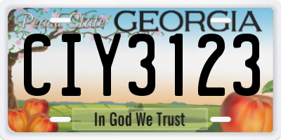 GA license plate CIY3123