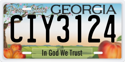 GA license plate CIY3124