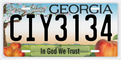 GA license plate CIY3134