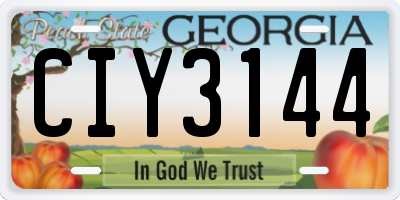 GA license plate CIY3144