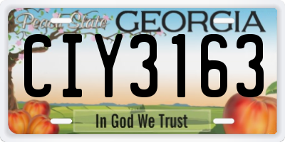 GA license plate CIY3163