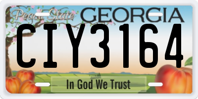 GA license plate CIY3164