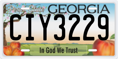 GA license plate CIY3229