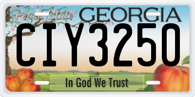 GA license plate CIY3250