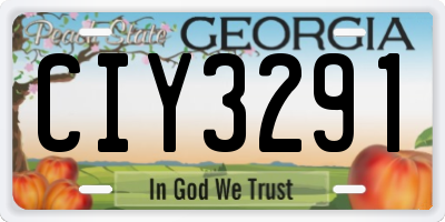 GA license plate CIY3291