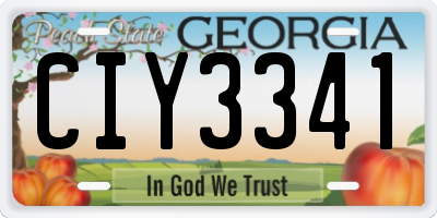 GA license plate CIY3341
