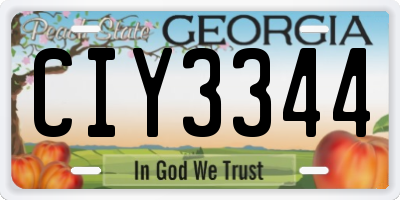 GA license plate CIY3344