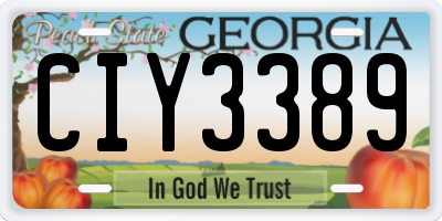GA license plate CIY3389