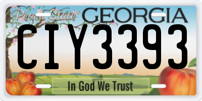 GA license plate CIY3393