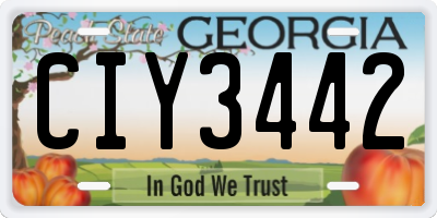 GA license plate CIY3442