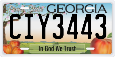 GA license plate CIY3443