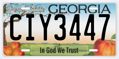 GA license plate CIY3447