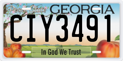 GA license plate CIY3491