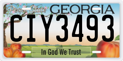 GA license plate CIY3493