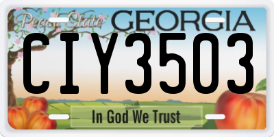 GA license plate CIY3503