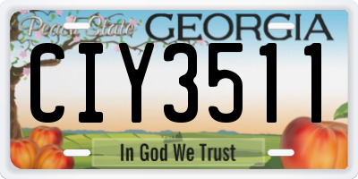 GA license plate CIY3511