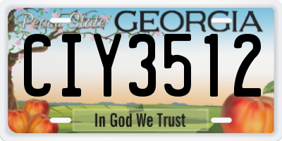 GA license plate CIY3512