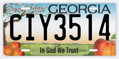 GA license plate CIY3514
