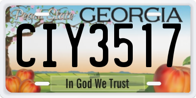 GA license plate CIY3517