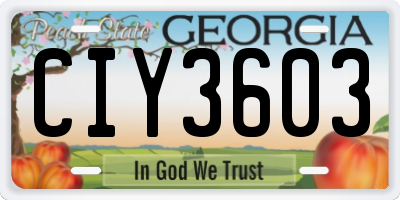 GA license plate CIY3603