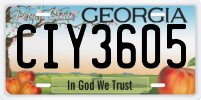 GA license plate CIY3605