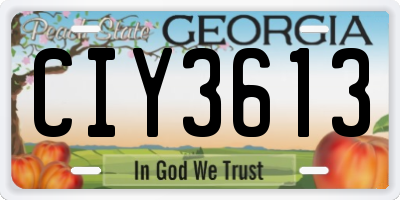 GA license plate CIY3613
