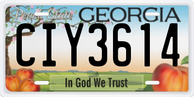 GA license plate CIY3614