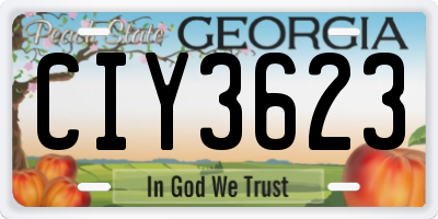 GA license plate CIY3623