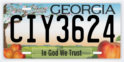 GA license plate CIY3624