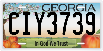 GA license plate CIY3739