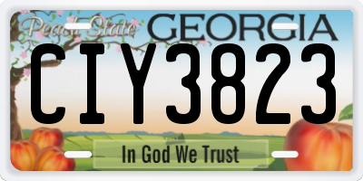 GA license plate CIY3823