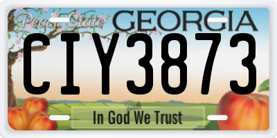 GA license plate CIY3873