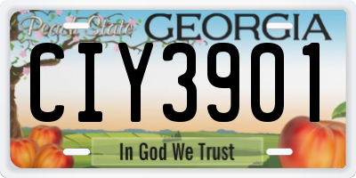GA license plate CIY3901