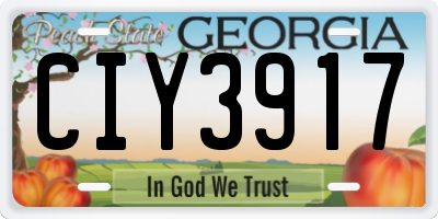 GA license plate CIY3917