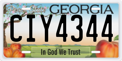 GA license plate CIY4344