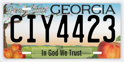 GA license plate CIY4423