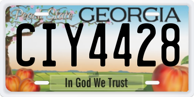 GA license plate CIY4428