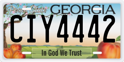 GA license plate CIY4442