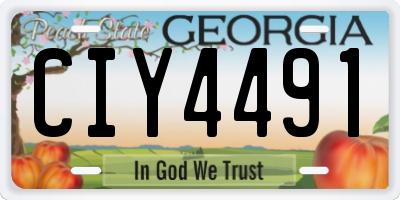 GA license plate CIY4491