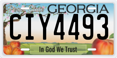 GA license plate CIY4493