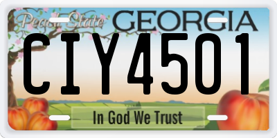 GA license plate CIY4501