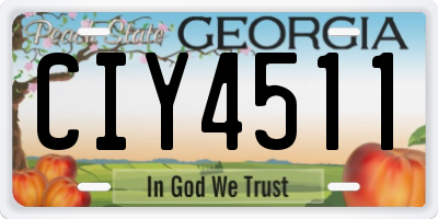 GA license plate CIY4511