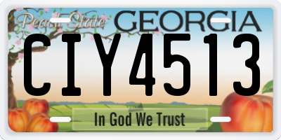 GA license plate CIY4513