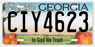 GA license plate CIY4623