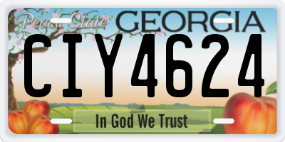 GA license plate CIY4624