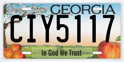GA license plate CIY5117