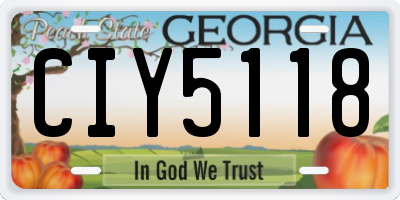GA license plate CIY5118