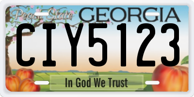 GA license plate CIY5123
