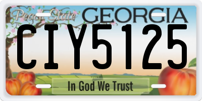 GA license plate CIY5125